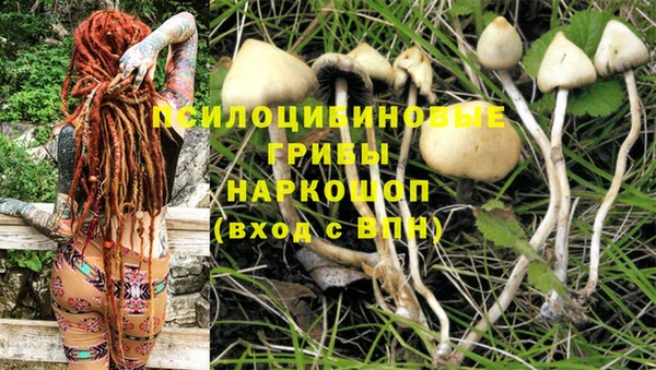 прущая мука Балахна