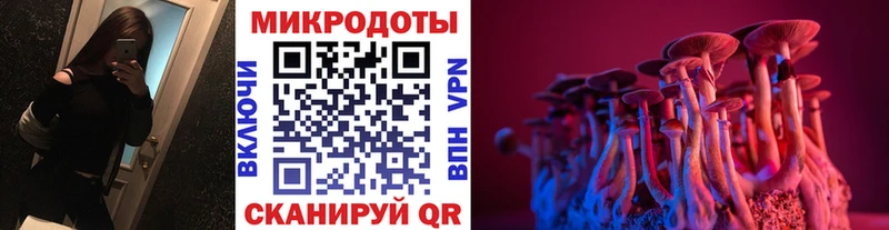Галлюциногенные грибы Psilocybe  Фатеж 